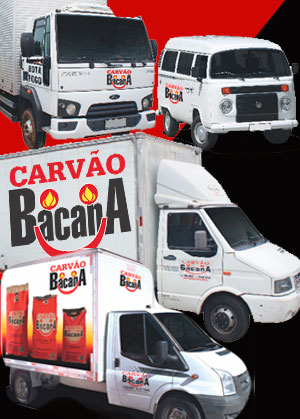 distribuidora de carvão a pronta entrega